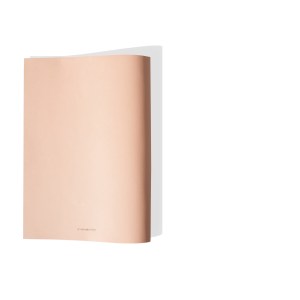 PAROUSIASI ANAPARASTASIS 113