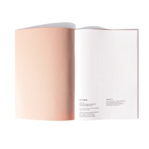 PAROUSIASI ANAPARASTASIS 12