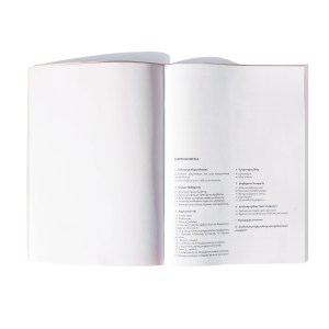 PAROUSIASI ANAPARASTASIS 13