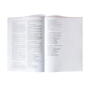 PAROUSIASI ANAPARASTASIS 17