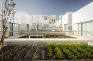social-complex-in-alcabideche-guedes-cruz-arquitectos__4
